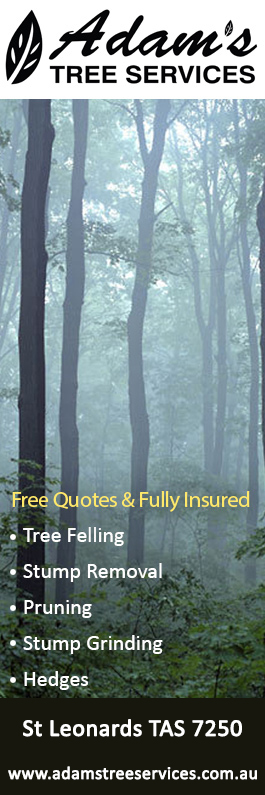 Adams Tree Services - Promotion