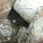 Termite Termination