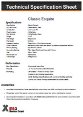 Classic Esquire Specification