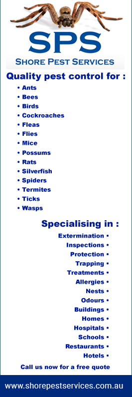Shore Pest Services - Promotion