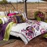 Andersons Curtains, Blinds & Soft Furnishings - Pic 7