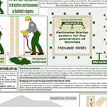 BP Homecare Pest Control - Pic 1