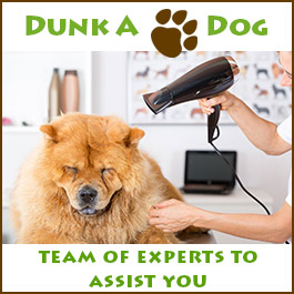 Dunk A Dog - Promotion