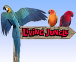 Living Jungle - Pic 10
