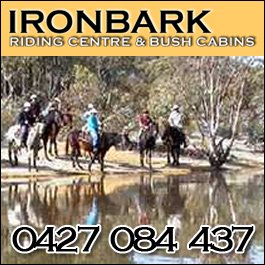 Bendigo horse riding