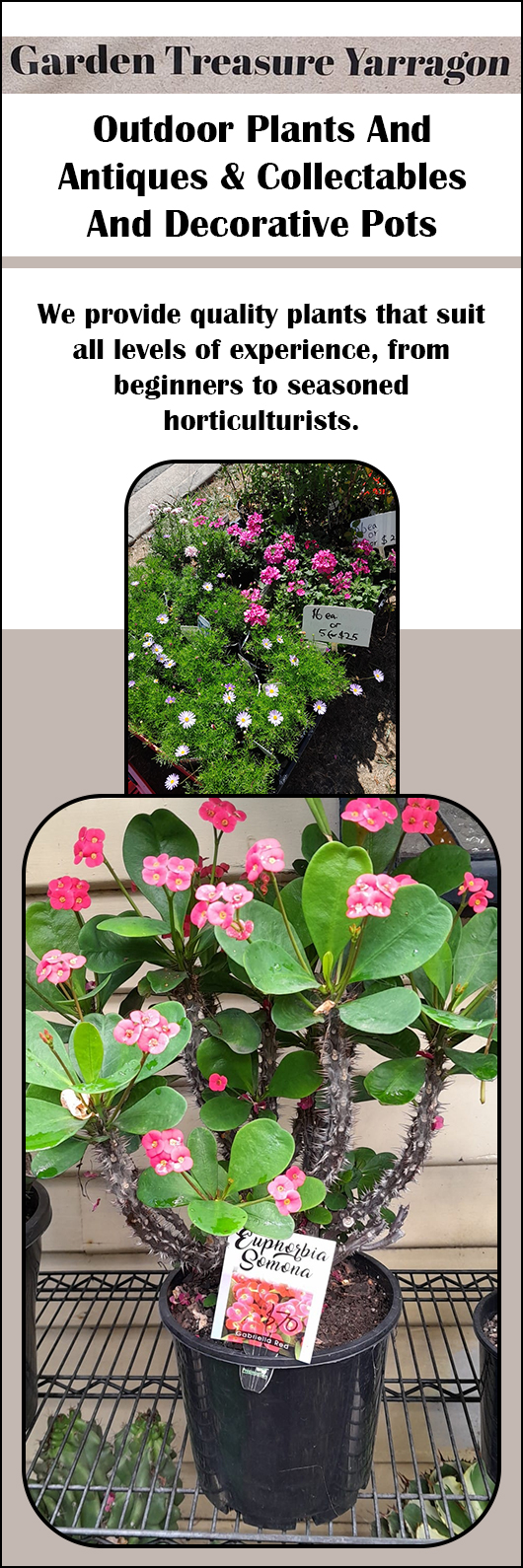 Garden Treasure Yarragon - Promotion