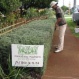 Our trained gardeners have an eye for detail.