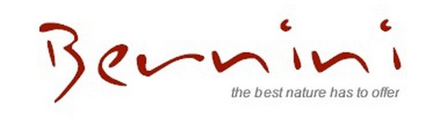 Bernini Stone &amp; Tiles - logo