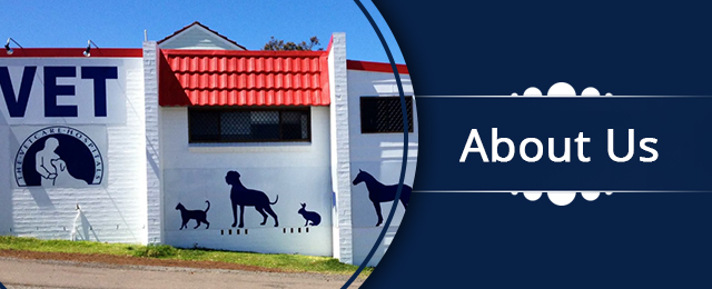 Westlakes Veterinary Hospital - Promotion 1