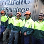 A Accurate Tree Services - Pic 10