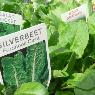 Fernwood Landscape Supplies & Nursery - Pic 5