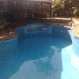 The new Pacific vinyl pool liner and tiles has brighten up this in-ground pool