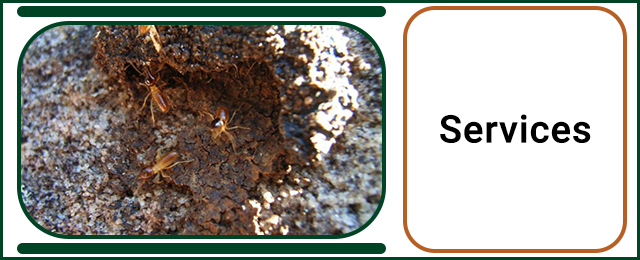 Systems Pest Management Pty Ltd - Promotion 3