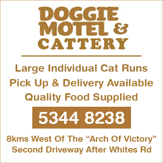 Doggie Motel & Cattery - Promotion