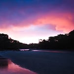 Crayfish Creek Caravan Park & Holiday Cabins - Pic 4