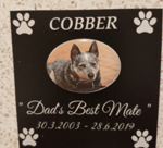 All Creatures Great & Small Pet Crematorium - Pic 3