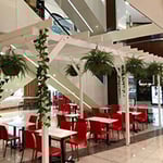 Retail Project Group - Pic 9