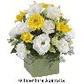 Acacia Art Florist - Pic 3