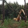 Linx Equipment Finance - Pic 4