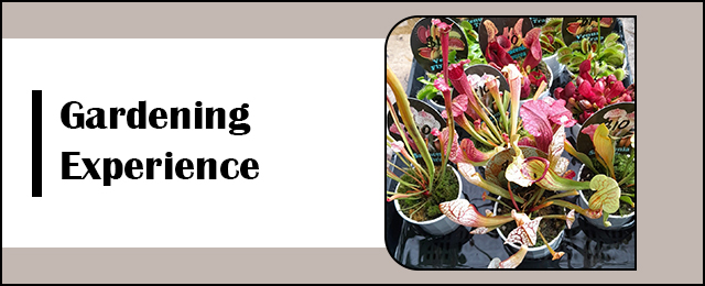 Garden Treasure Yarragon - Promotion 2