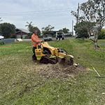 Central Coast Tree Removal - Pic 8