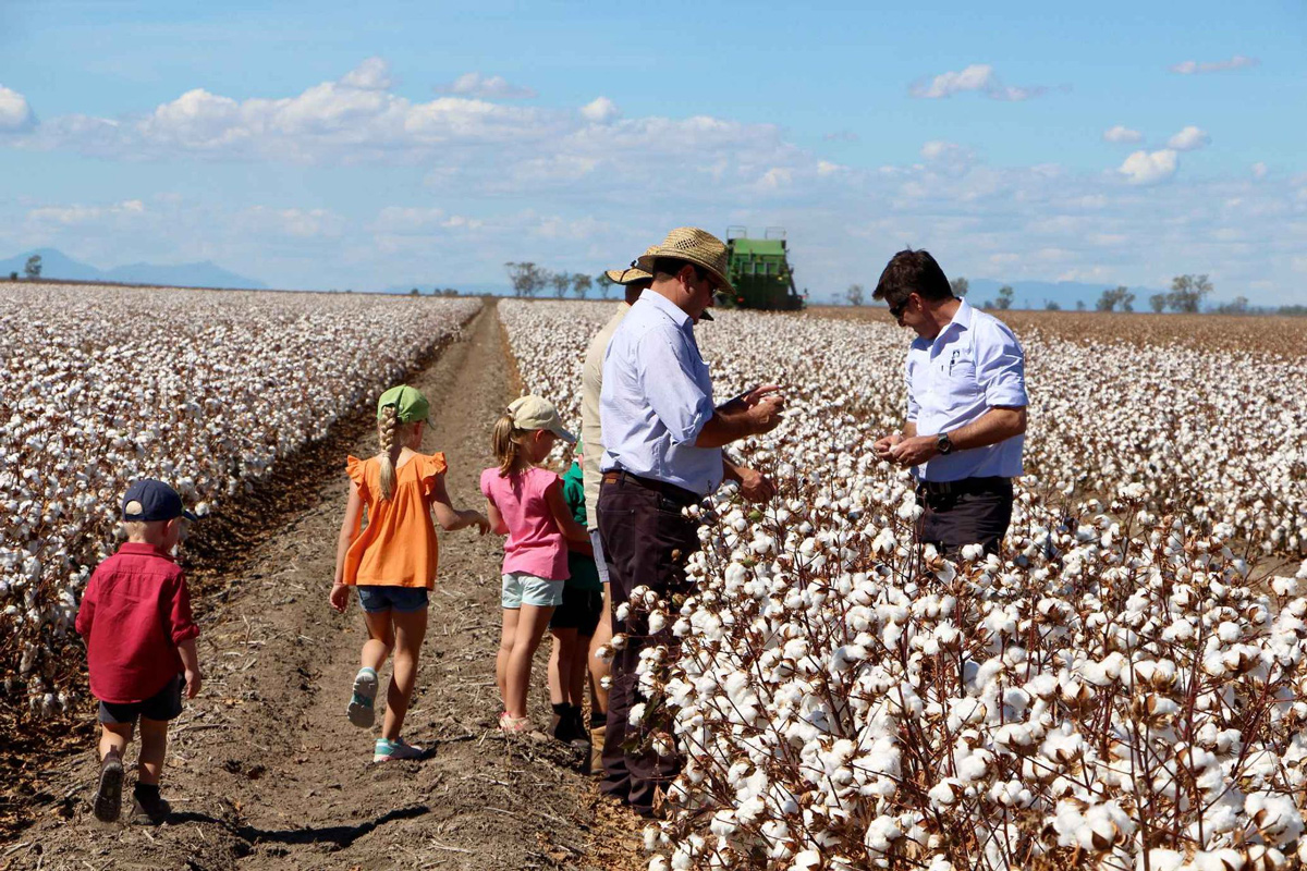 Namoi Cotton Ltd Cotton 27 Trucking Yards Lane Wee Waa