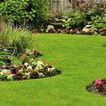 Unicorn Cleaning & Gardening Services Pty Ltd - Pic 3