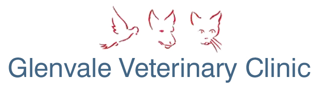 Glenvale Veterinary Clinic - logo