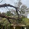 Hilltops Vegetation Services - Pic 1