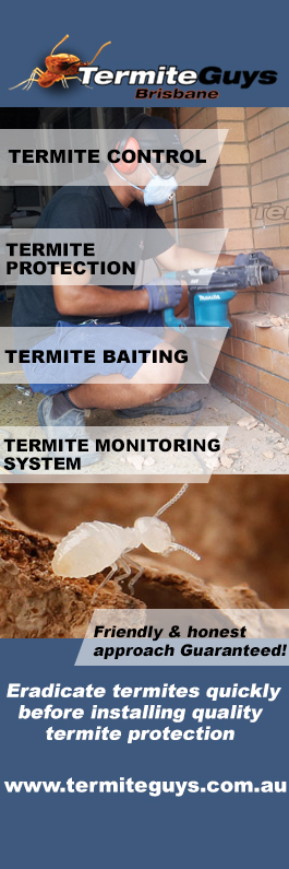 Termite Guys Brisbane - Promotion