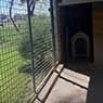 Glen-Milton Dog Boarding Kennels & Cattery - Pic 1