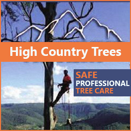 High Country Trees - Promotion