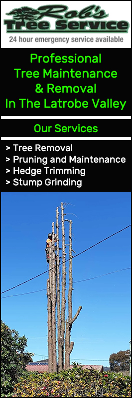 Rob's Tree Service - Promotion
