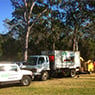 Brisbane Tree Experts