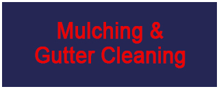 True Blue Tree & Stump Removal - Promotion 1