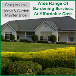 Craig Adams Home & Garden Maintenance Services - Promotion