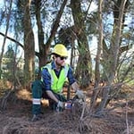 Envirotrim - Pic 2