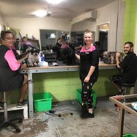 hound dog hairdressing