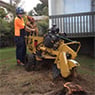 Stump Grinding