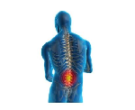 Chiropractic Spinal Health - Pic 3