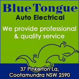 Blue Tongue Auto Electrical - Promotion