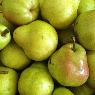 Nardi Produce Pty Ltd - Pic 7