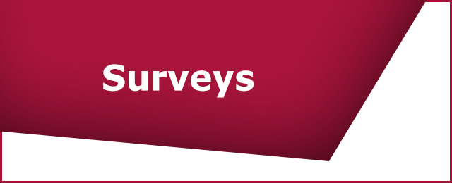 Steed Surveyors + Land Divisions - Promotion 1