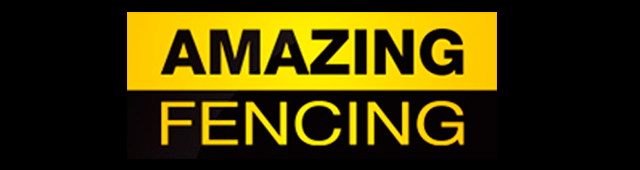 Amazing Fencing - logo