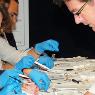 Best Practice Medical Locums - Pic 1
