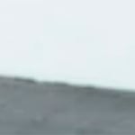 Ivory Print - Pic 2