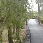 Ashpatch - Pic 8