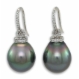 18 carat white gold drop shaped peacock colour Tahitian South Sea pearls with diamond rim set hook earrings.