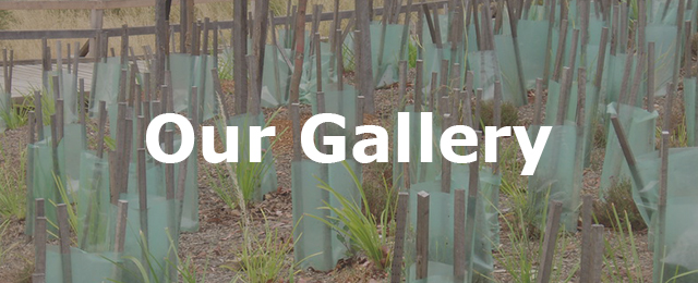 Urban Garden Construction - Promotion 3