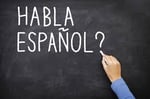 French & Spanish Tuition